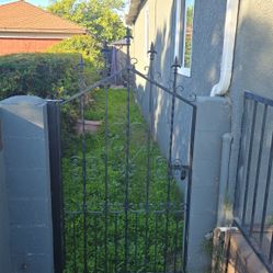 Lawn Mower Grass Cut $50