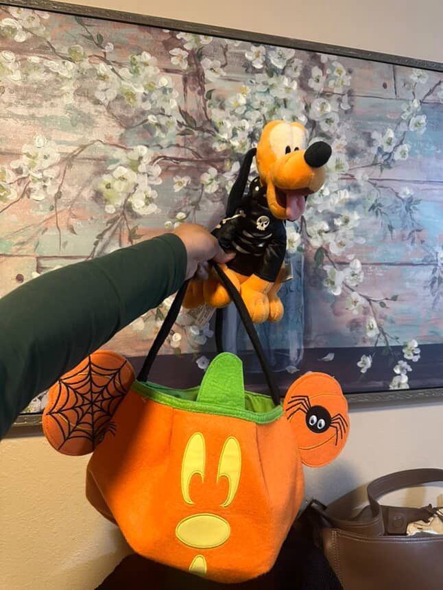 Disney Pluto And Mickey Pumpkin Candy Basket