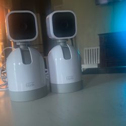 Blink Cameras 