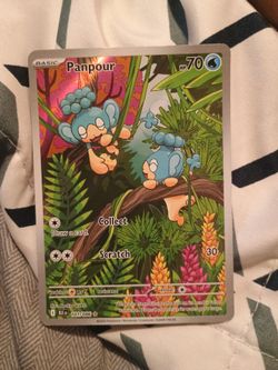 Panpour (Near Mint)