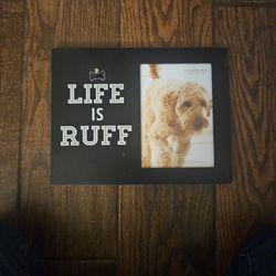 Dog picture Frame