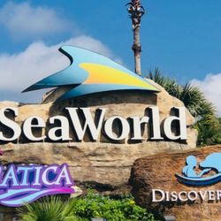 Sea World Tickets