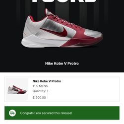 Nike Kobe 5 protro lower merion