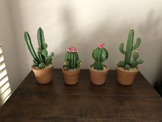 Collection of four potted Cactus made from resin