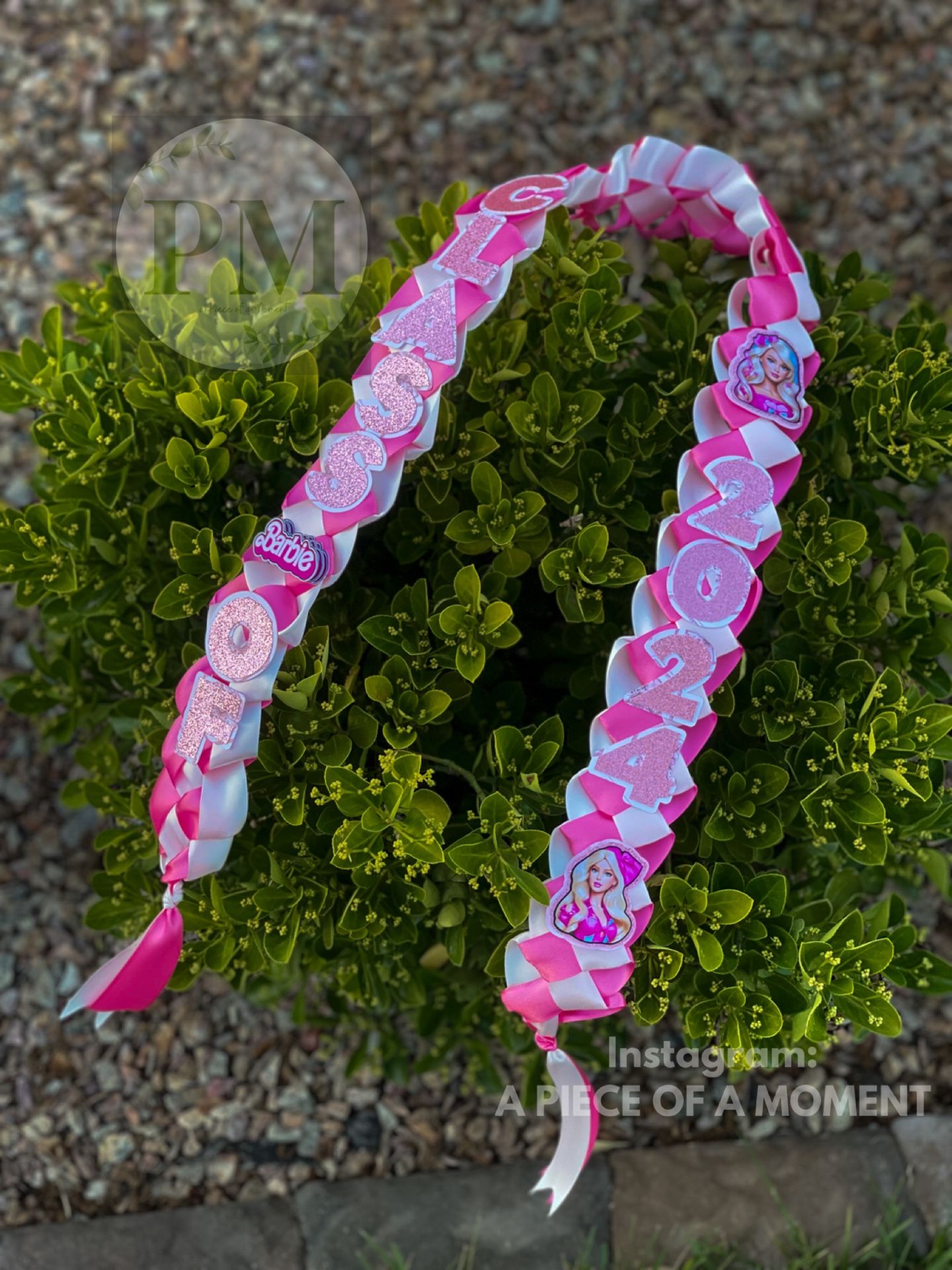 Lei Graduation Lei Grad Barbie 2025