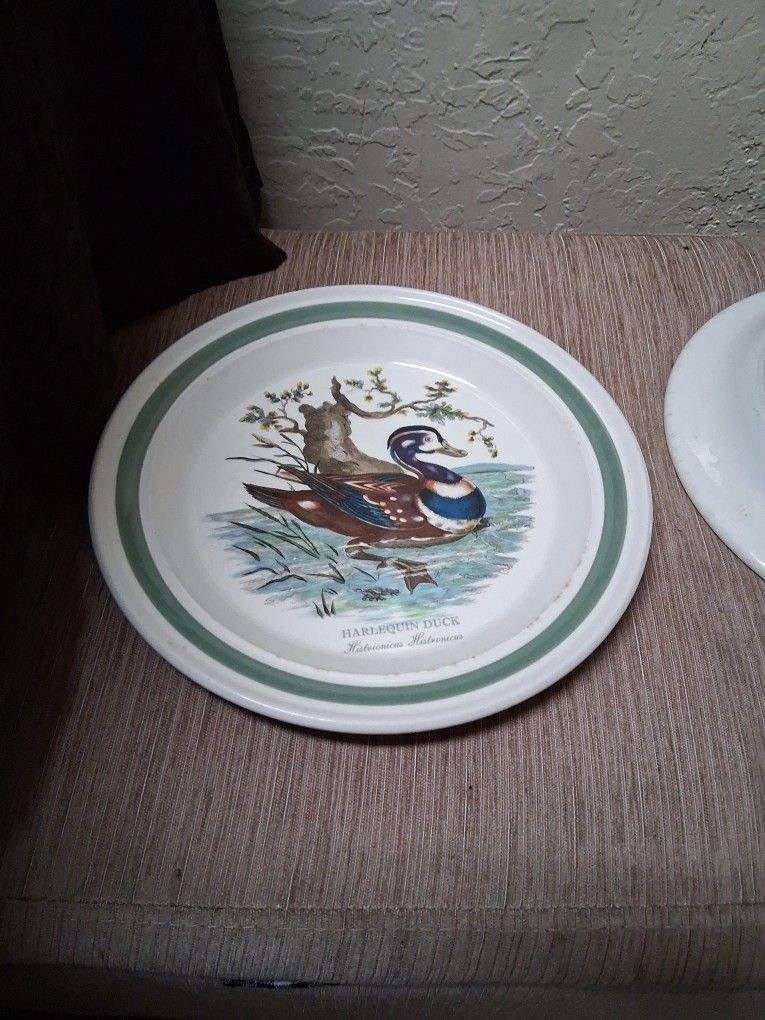 Rare Harlequin Duck Plate Vintage