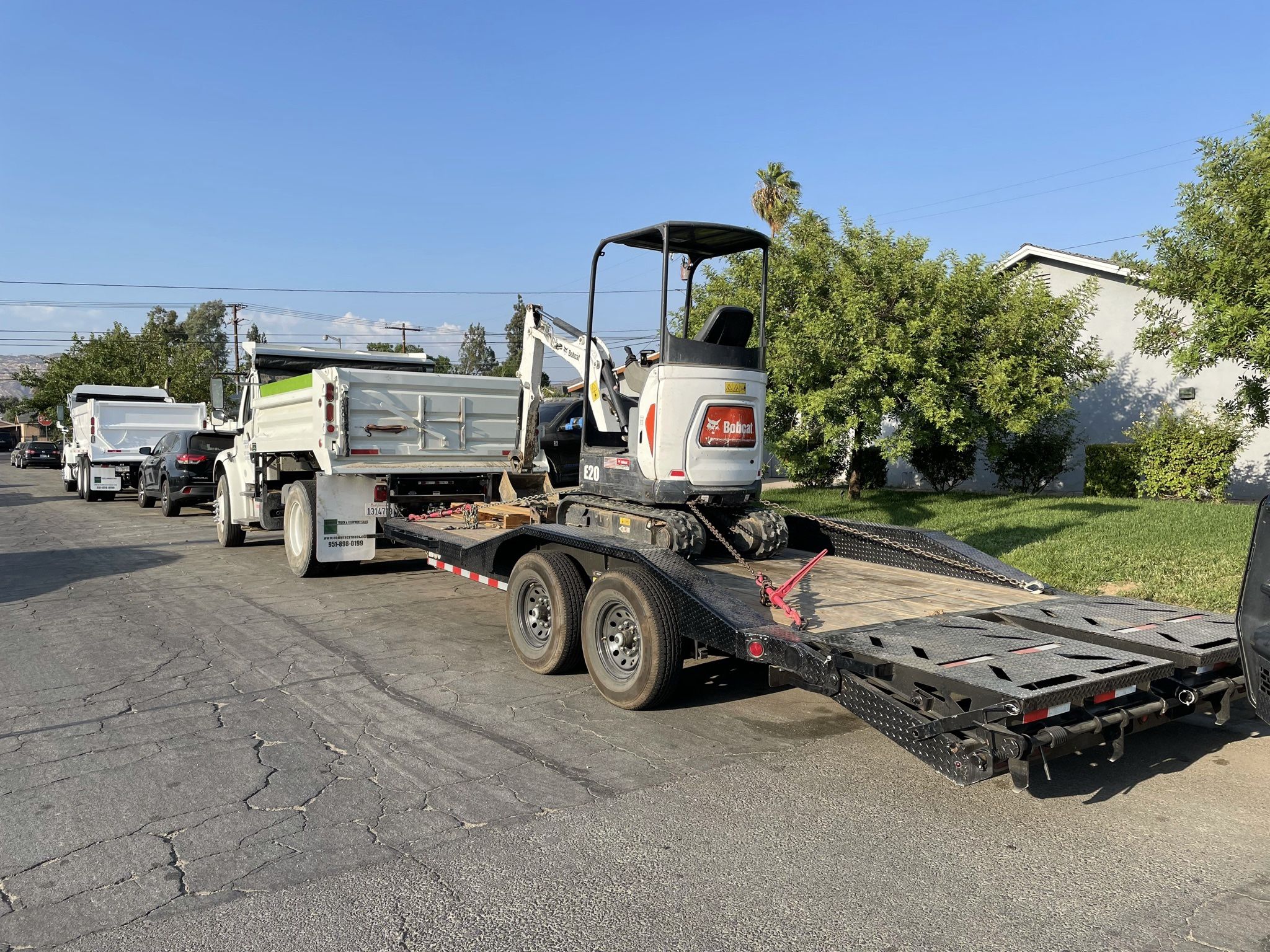 Bobcat