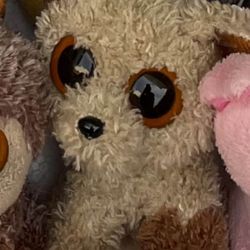 Root beer The Brown Dog Beanie Boo