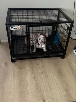 Metal cage