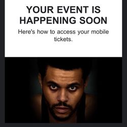 The Weeknd Concert 