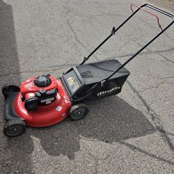 Basic Yard Maintenance Bundle