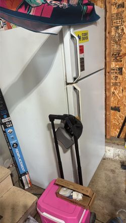 Garage fridge