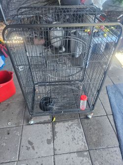 Cage for pets
