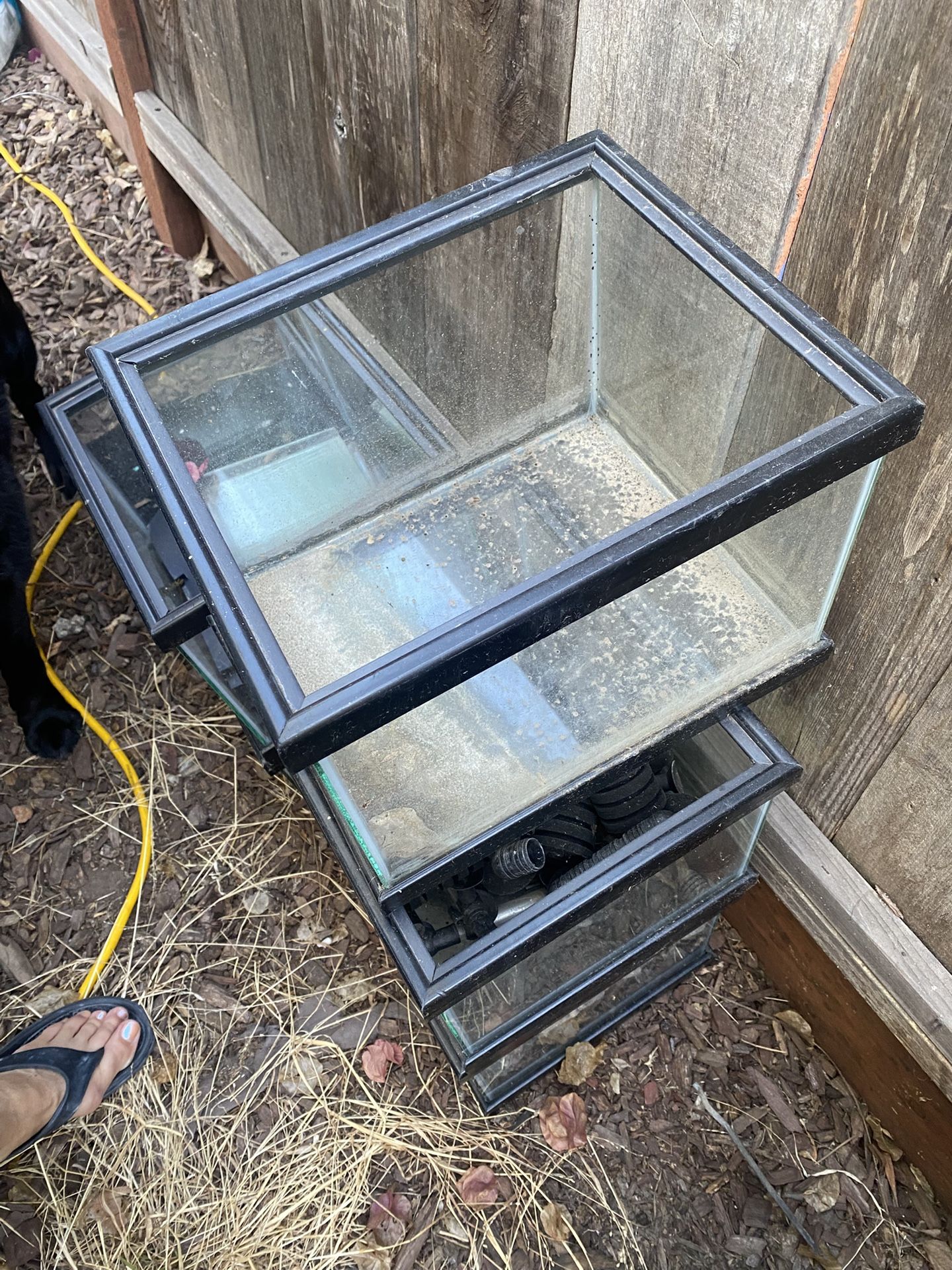 2.5 gallon aquariums - buy all or one