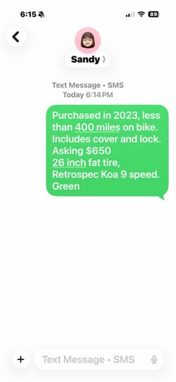 Men’s electric bike