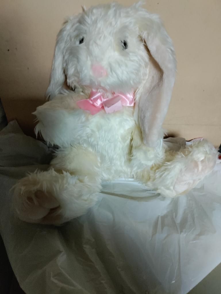 Stuffed Long Ear Bunny