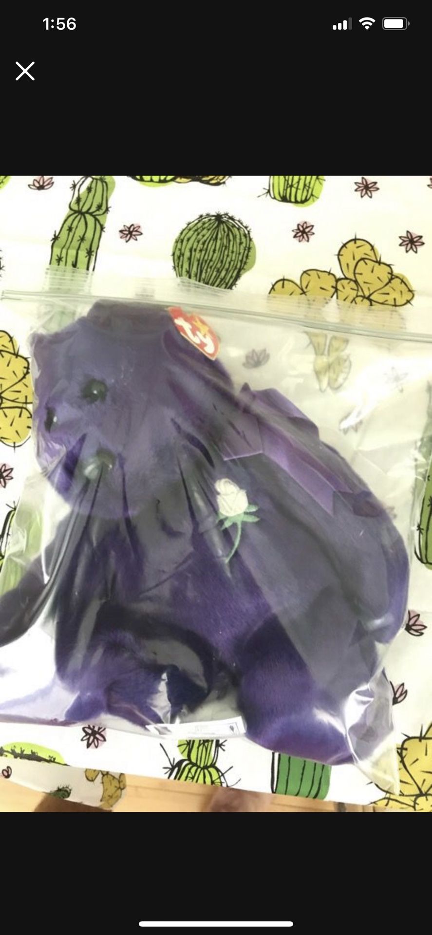 Princess Diana TY beanie baby. Kept In Ziplock Bag With Desiccant To Keep Fresh