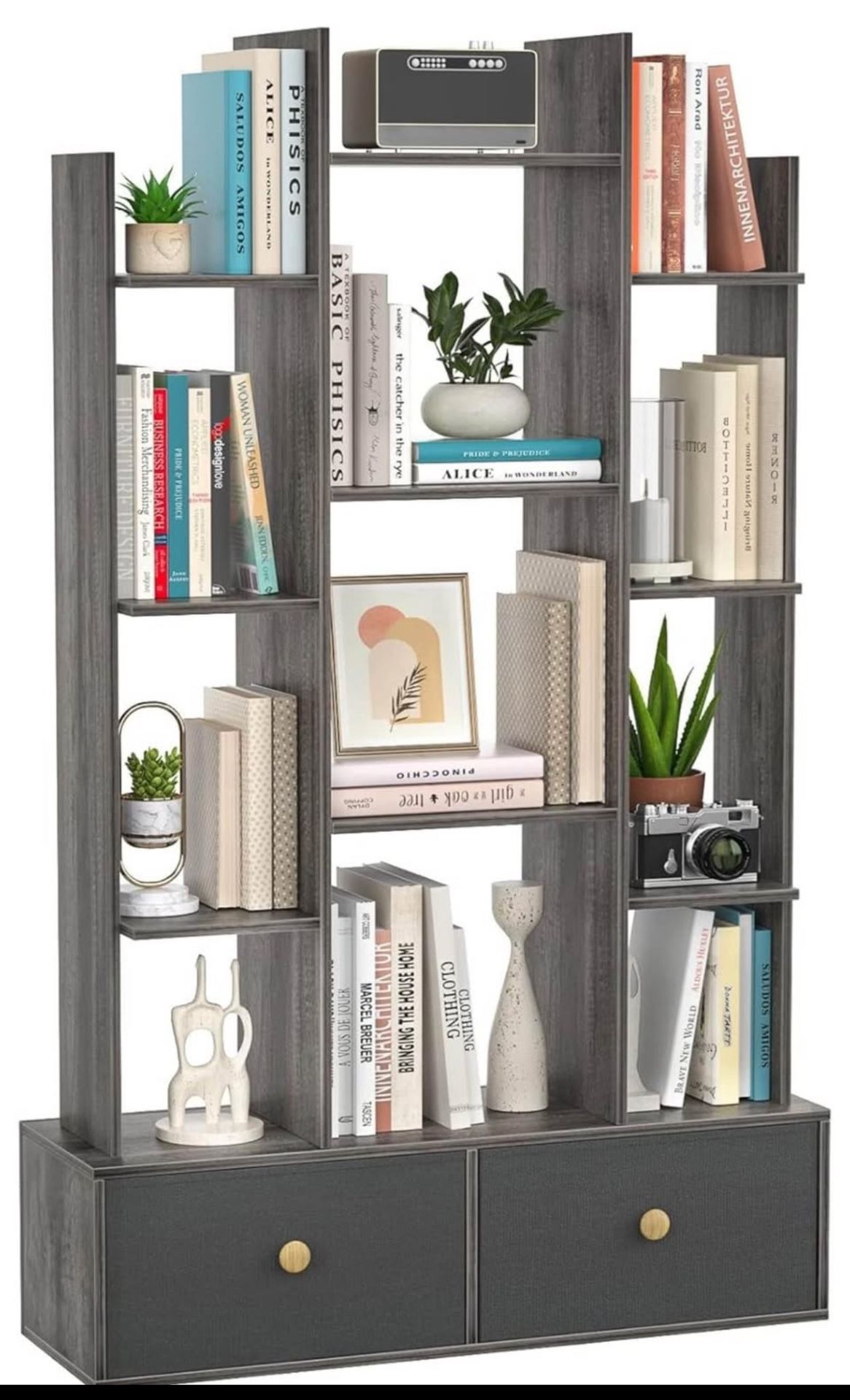 Book Shelf with 2 Drawers