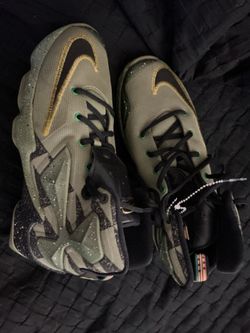 LeBron Nike Shoes