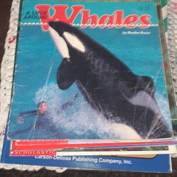 A Look Around Whales By Martha Morss