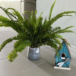 Boston Ferns Plants Real And Bird House Both 10