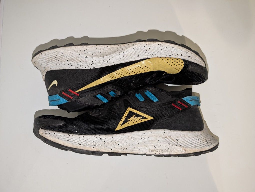 Nike Pegasus Shoes