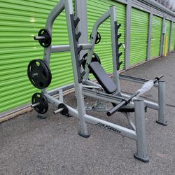Life Fitness Squat Rack,  Life Fitness Bench And Hampton Weights. 
