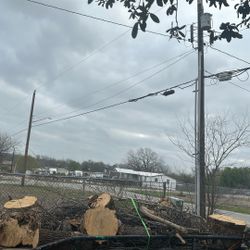 Any Fire Wood You Need 50 Obo