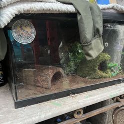 Comes With Snake Tank