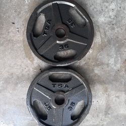 Two (2) 35 Lbs Metal Plates (good used condition)