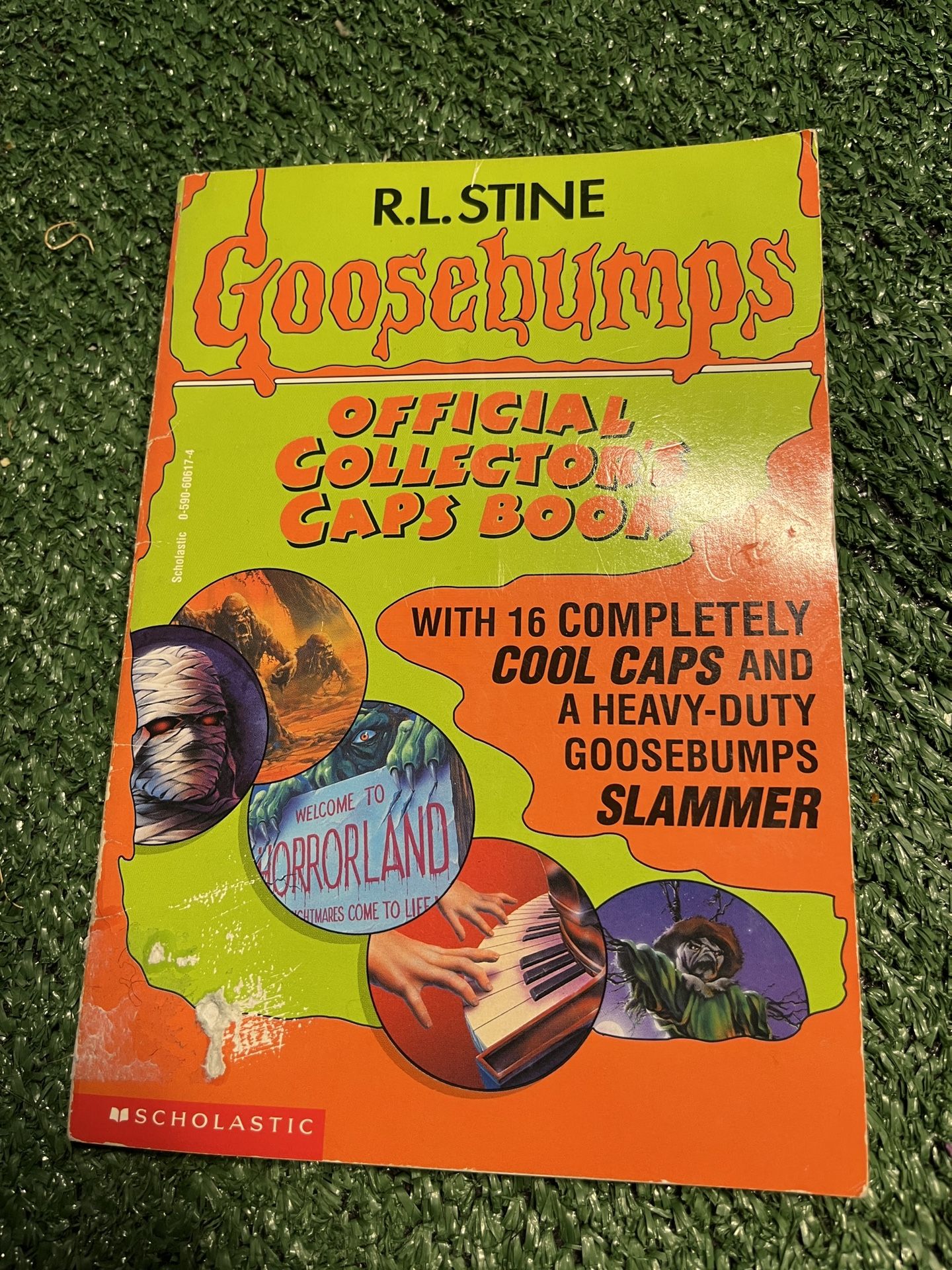 Goosebumps