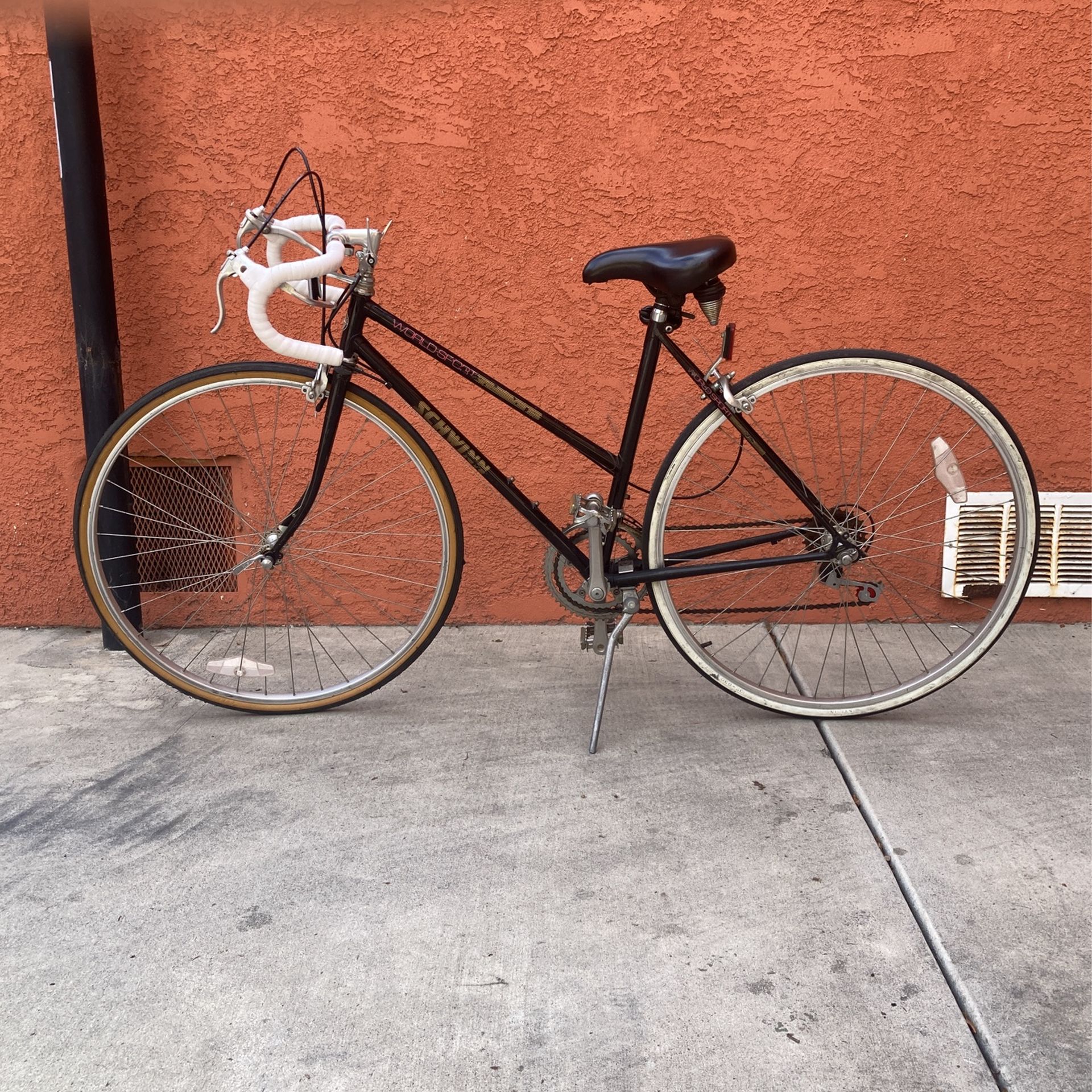 1987 Schwinn World Sport Bike Champion