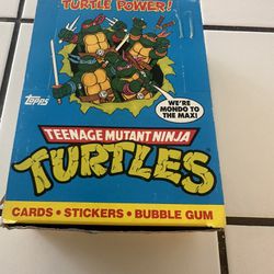 1989 Topps Teenage Mutant Ninja Turtles BOX of Cards