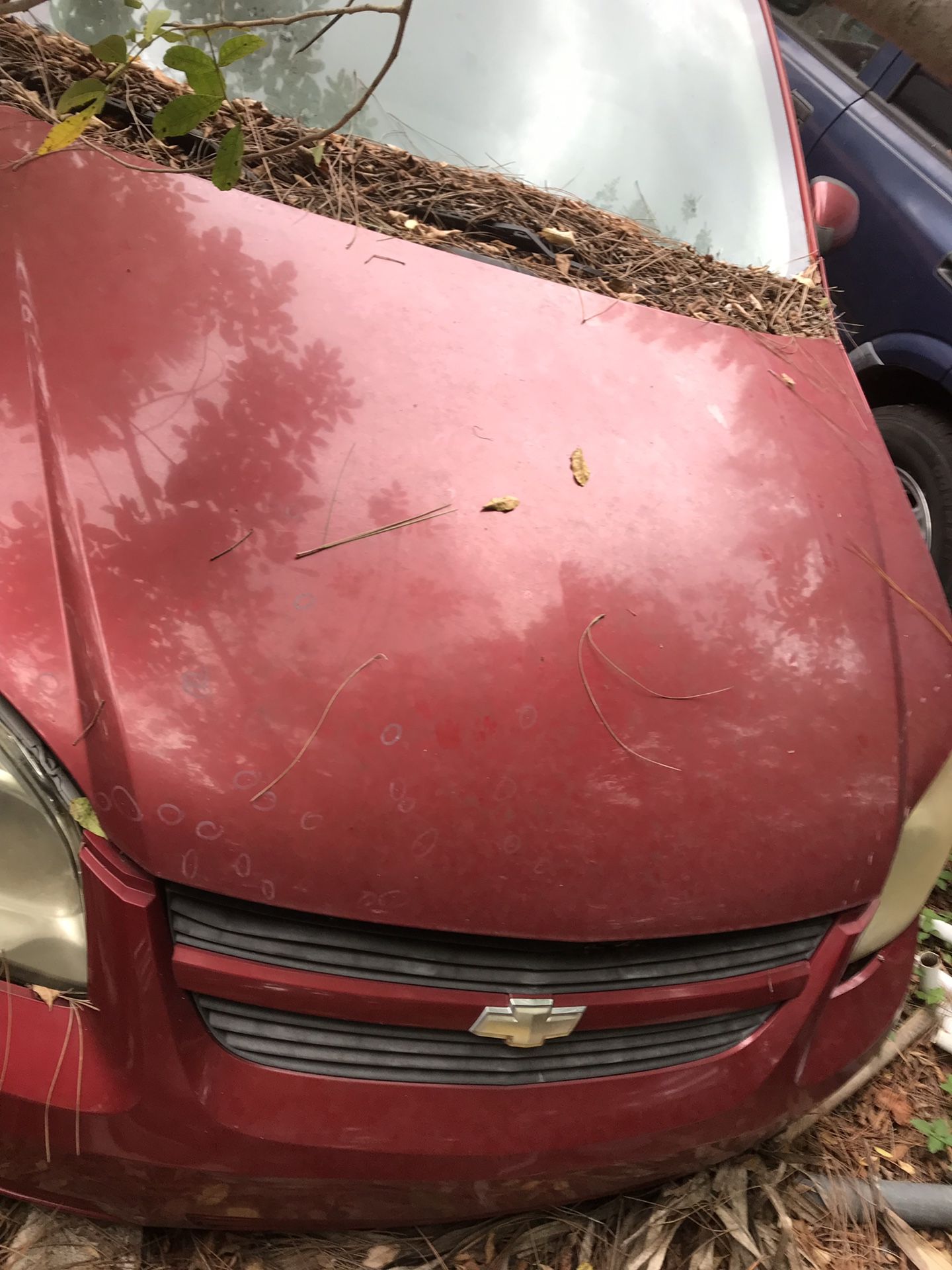 2010 Chevy Cobalt Parts