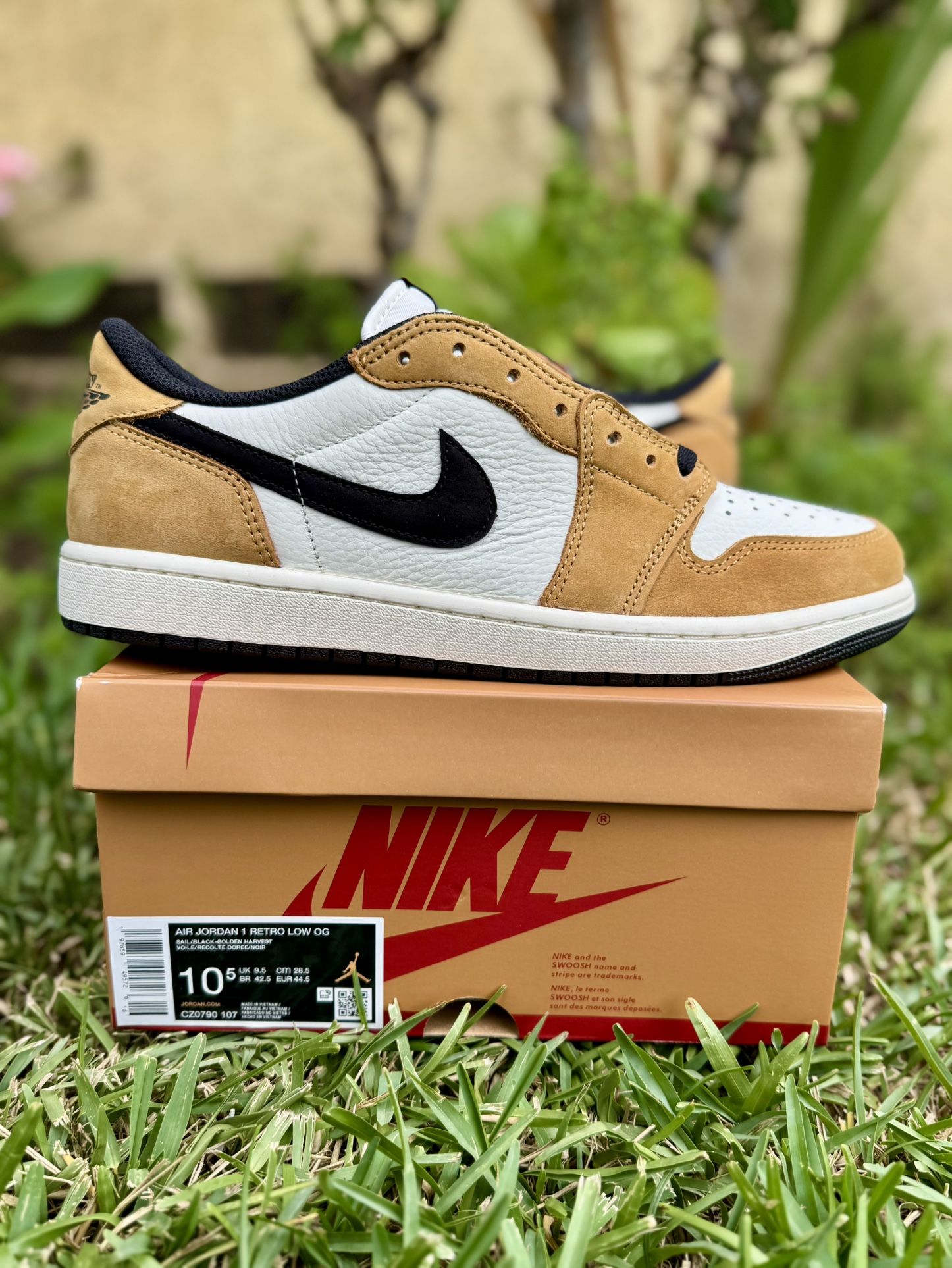 Jordan 1 Low Rookie Of The Year Size 10.5 New