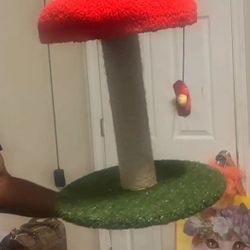 Cat Tree