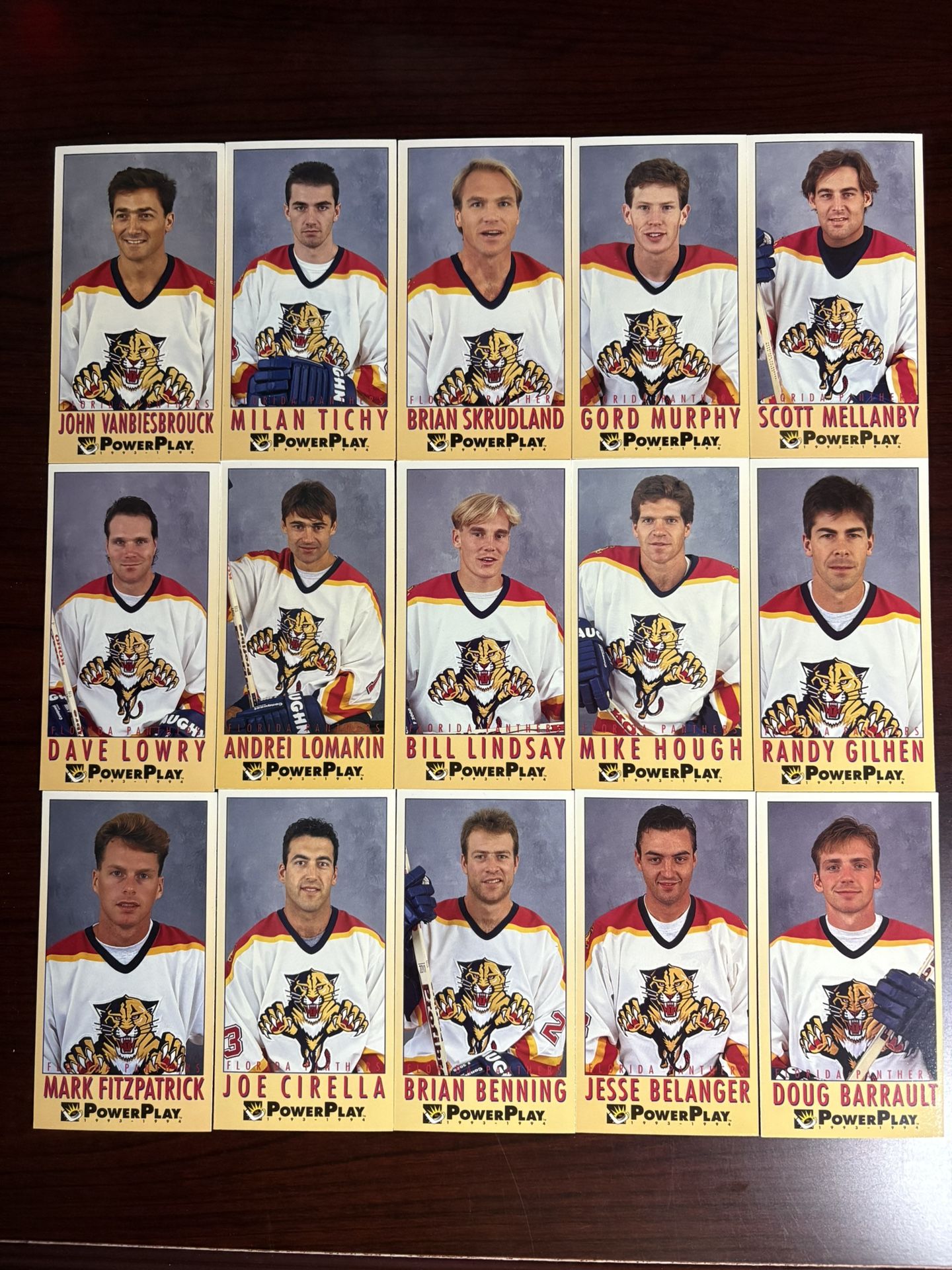 1(contact info removed) Fleer Power Play Florida Panthers Complete Set Of 15 Cards
