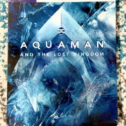 Aquaman And the Lost Kingdom 4K Steelbook (NEW)