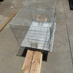 white bird cage 