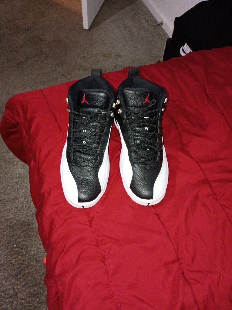 Jordan 12 Size 11