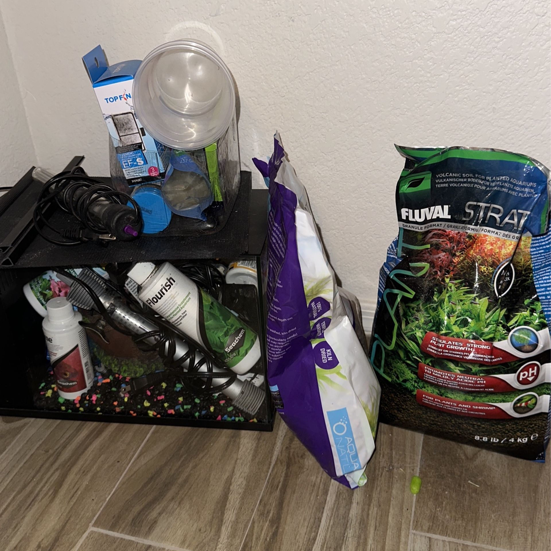 3 Gallon Fish Tank With Fish Essentials