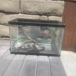 Aquarium Or Reptile Tank