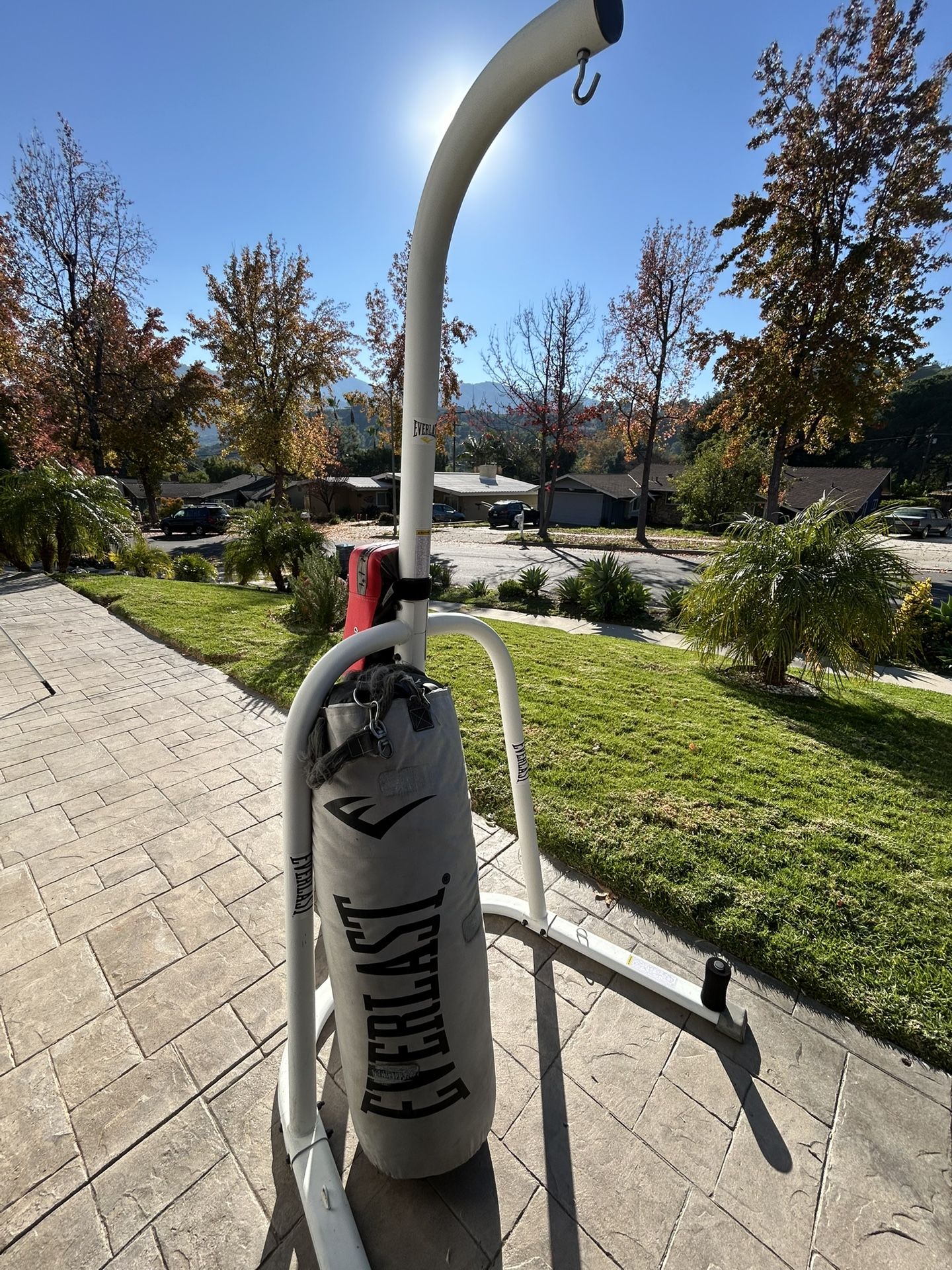 Everlast Boxing Stand And Punching Bag