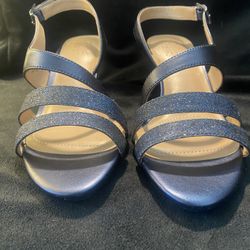 Naturalizer Taimi Slingback Mid Heel – Blue – Size 8 – Worn Once