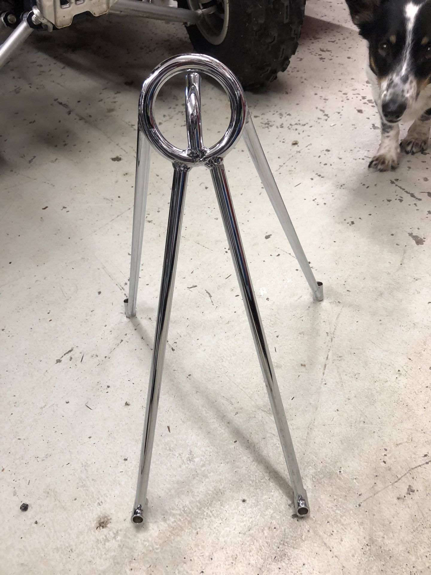 Ski Boat Hook