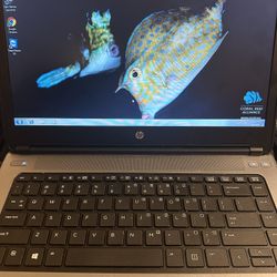 Hp Pro Book 