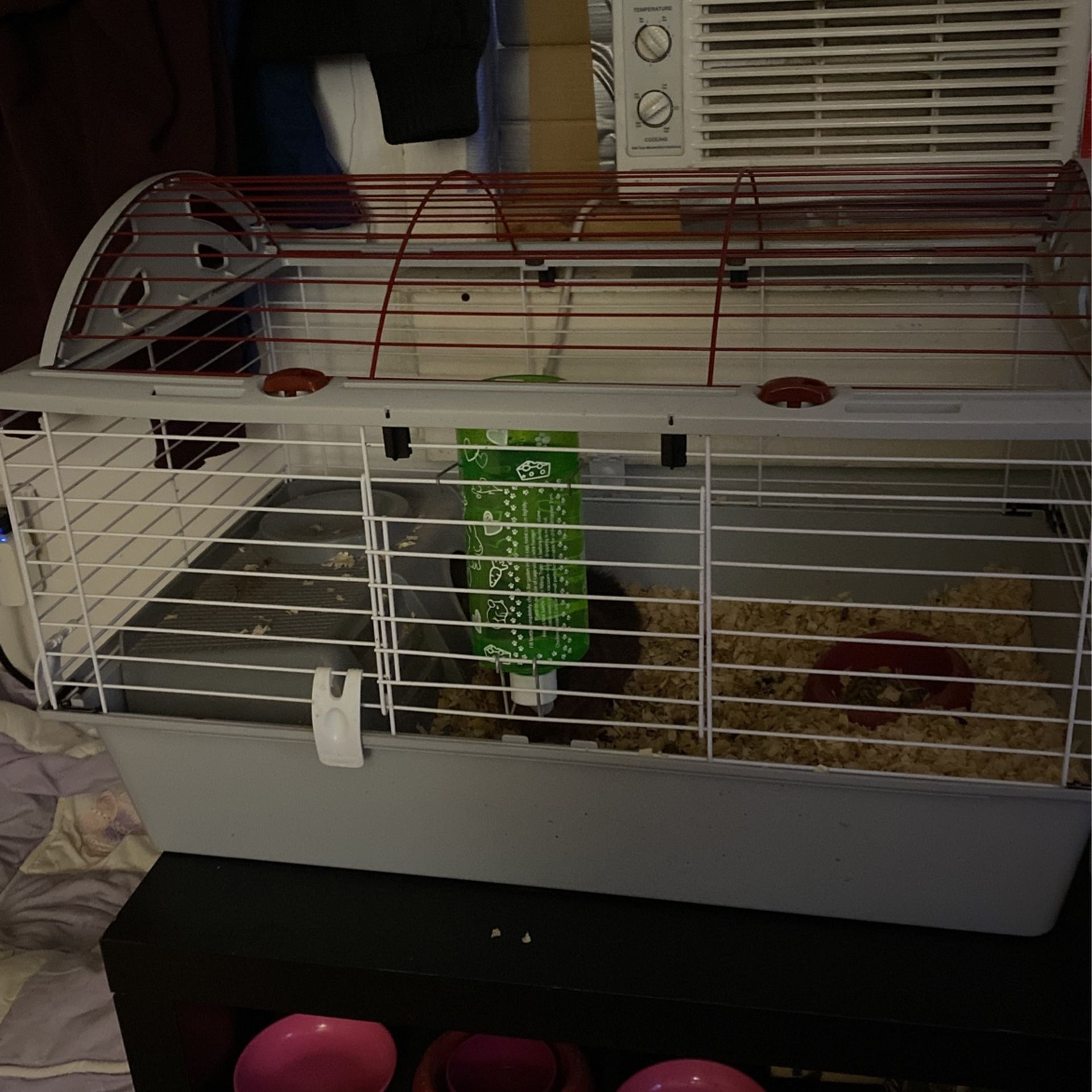 Guinness Pig And Cage 