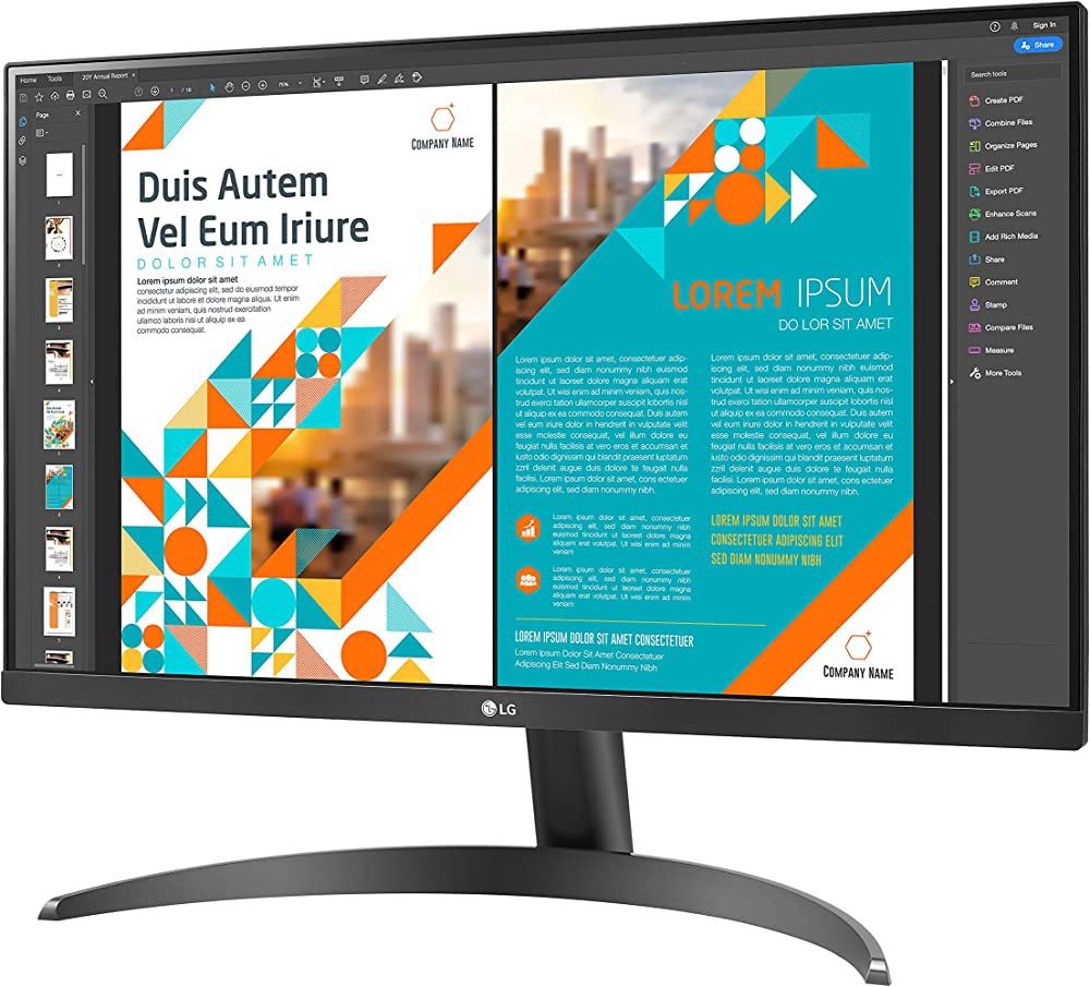 LG 24” Monitor