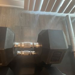 Rogue 70 lb Dumbbells 