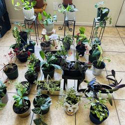 Plans For Sale 10 Each 